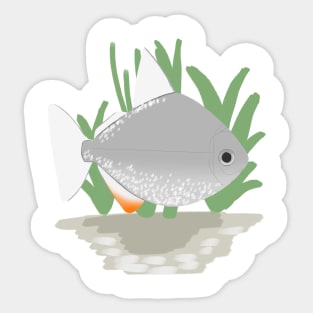 silver dollar fish Sticker